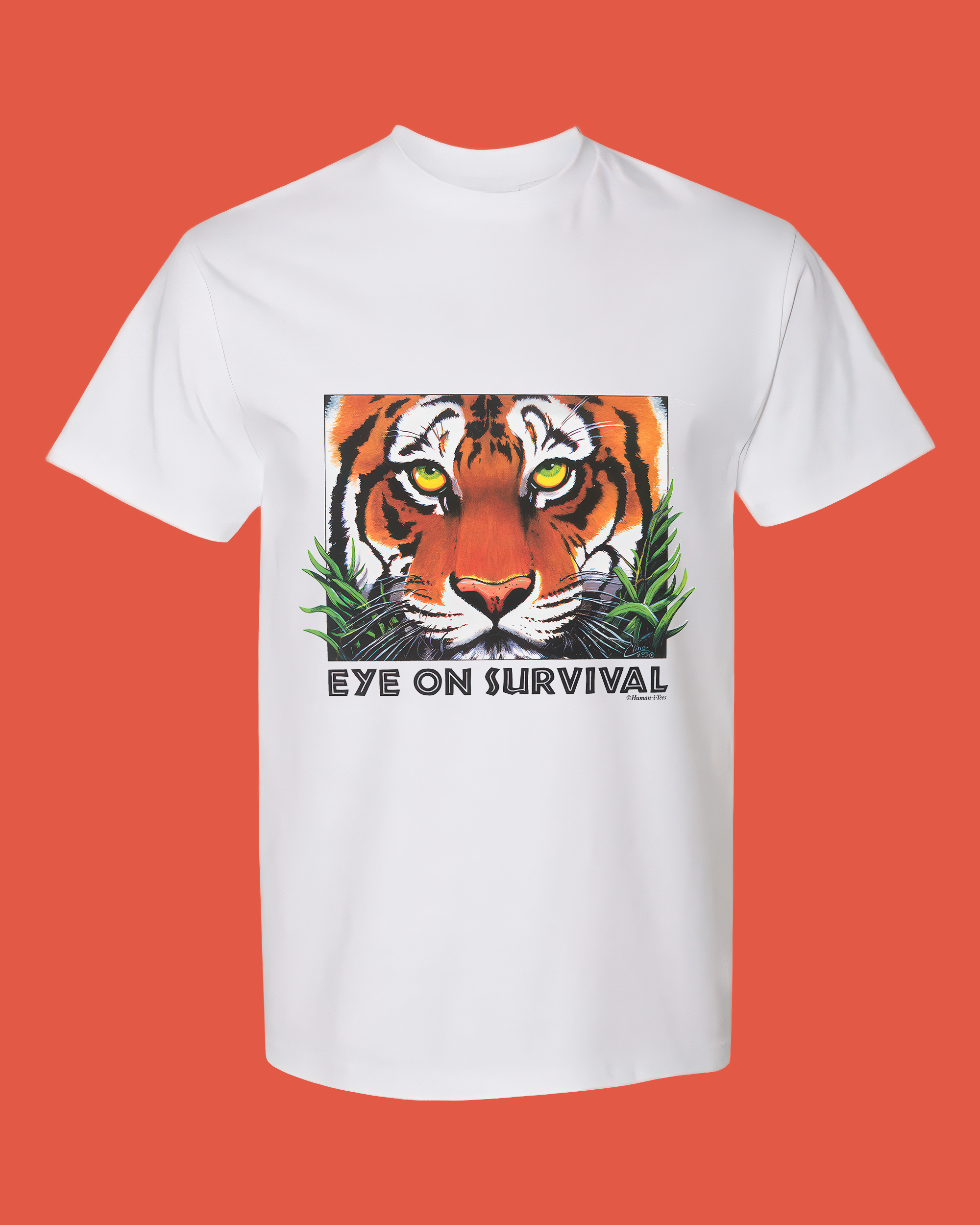 Eye On Survival